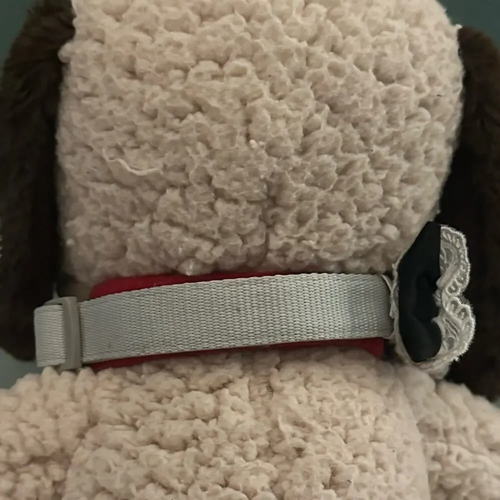 Light Grey with black trim dog collar - Lace bow - Size Medium